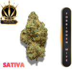 FORBIDDEN WIFE (AAAA+) * SECRET PLEASURE