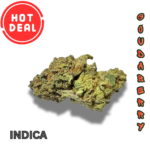 GOUDABERRY (AAA) *HOT DEAL
