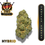 TRUFFLE SUNDAE (AAAA++) * ICY SMOOTH