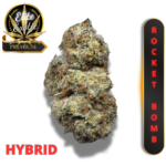 ROCKET BOMB (AAAA++) *HEAVY PAYLOAD