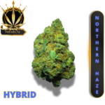 NORTHERN HAZE (AAAA+) * MEGA DEALS