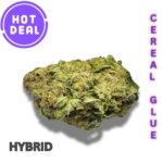 CEREAL GLUE (AAA) * HOT DEAL