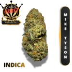 MIKE TYSON (AAAA++) *DEADLY HITS