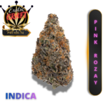 PINK ROZAY (AAAA++) *PRIVATE STASH VIBES