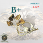 B+ (MAGIC SHROOMS )