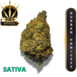 DURBAN PRINCESS (AAAA) * REGAL ENERGY