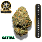 SPACE SASQUATCH (AAAA++) * MYTHICAL LEVEL