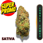 JUNGLE FUMES (AAAA+) *SUPER PROMO