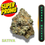 DURBAN WALKER (AAAA+) *SUPER PROMO