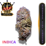 BLUEBERRY PINK LEMONADE (AAAA++) * NEW