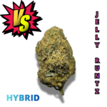 JELLY RUNTZ (AAAA) *BATTLE BUD
