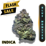 BLUE MONSTER (AAA+) * FLASH SALE