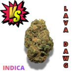 LAVA DAWG (AAAA) *BATTLE BUDS