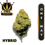 ONE WAY (AAAA) * UPLIFT HIGH