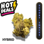 SCOOBY SNACKS (AA+) * HOT DEALS