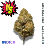 SKYWALKER PLATINUM (AAAA) *BATTLE BUDS