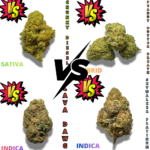 BATTLE BUDS PACK ( SELECT YOUR STRAINS IN NOTES AT CHECKOUT )